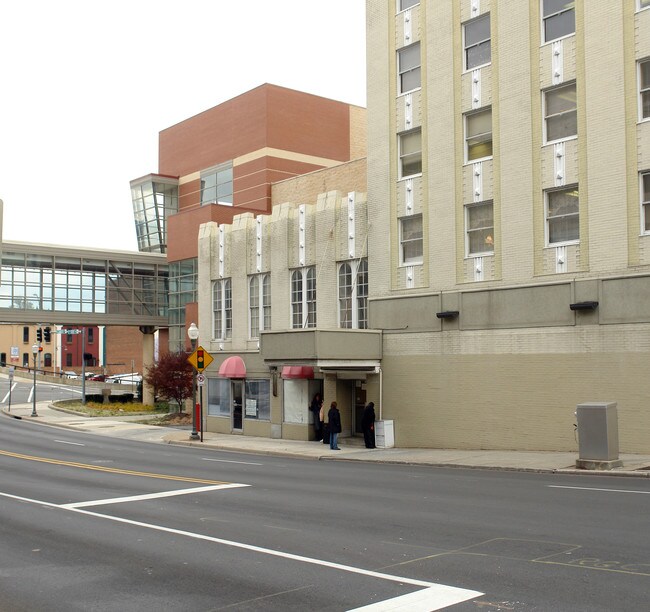 The Ponce De Leon Apartments in Roanoke, VA - Building Photo - Building Photo