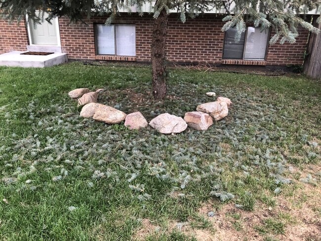 290 Kattell St in Erie, CO - Building Photo - Building Photo