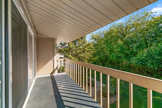 15717 Orlan Brook Dr in Orland Park, IL - Foto de edificio - Building Photo