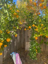 0Hidden Grove in Concord, CA - Foto de edificio - Building Photo