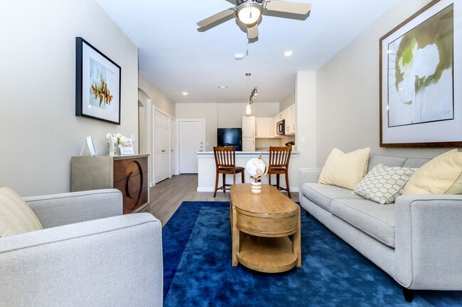 Hills at Leander, A 62+ Community