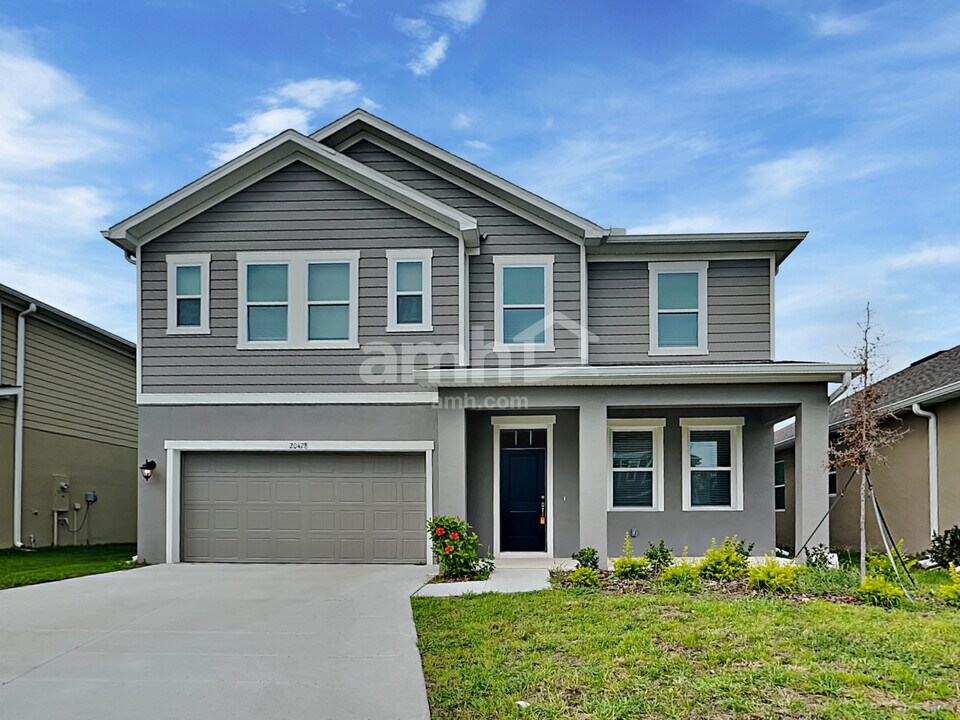 20478 Calla Lily Dr in Land O Lakes, FL - Building Photo