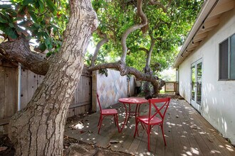 549 San Dieguito Dr in Encinitas, CA - Building Photo - Building Photo