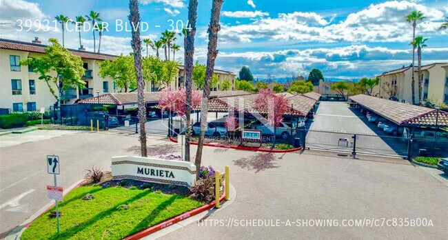 39931 Cedar Blvd in Newark, CA - Building Photo - Building Photo