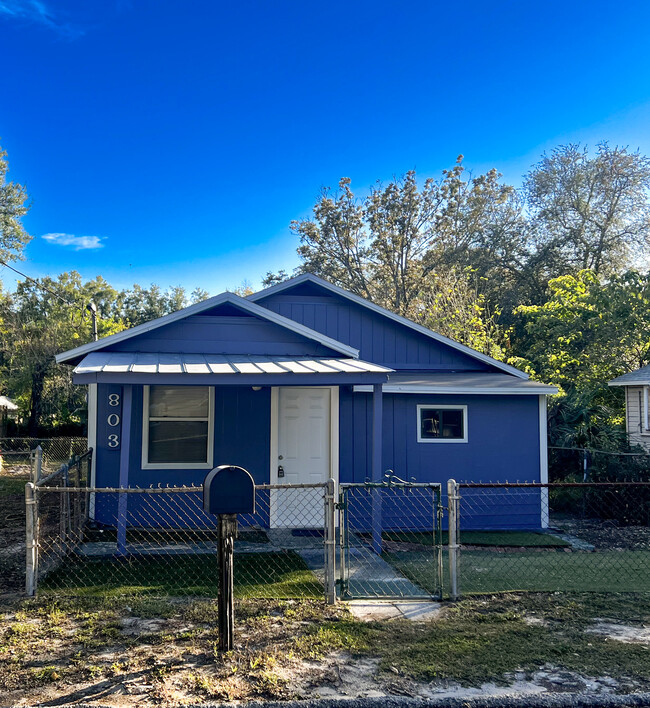 803 E Seward St in Tampa, FL - Building Photo - Building Photo