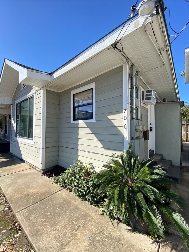 706 Dumble St in Houston, TX - Building Photo - Building Photo