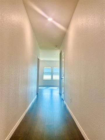 113 Alydar Ln in Caddo Mills, TX - Building Photo - Building Photo