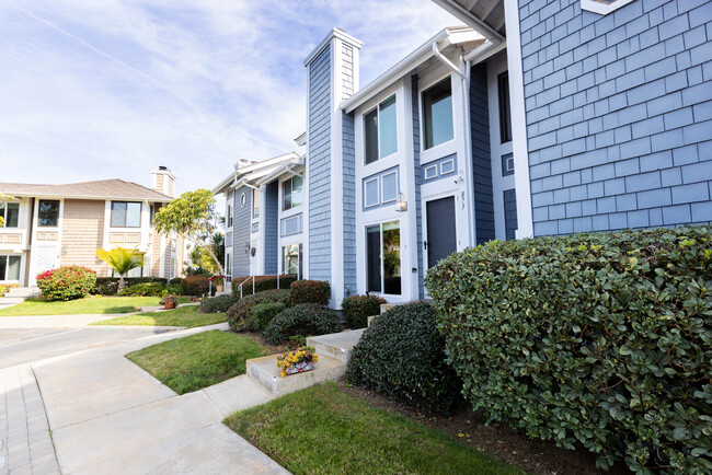 873 Hollyhock Ct in Carlsbad, CA - Foto de edificio - Building Photo