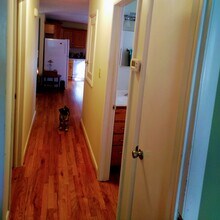 26 Cedar Hill Rd in Asheville, NC - Building Photo - Building Photo