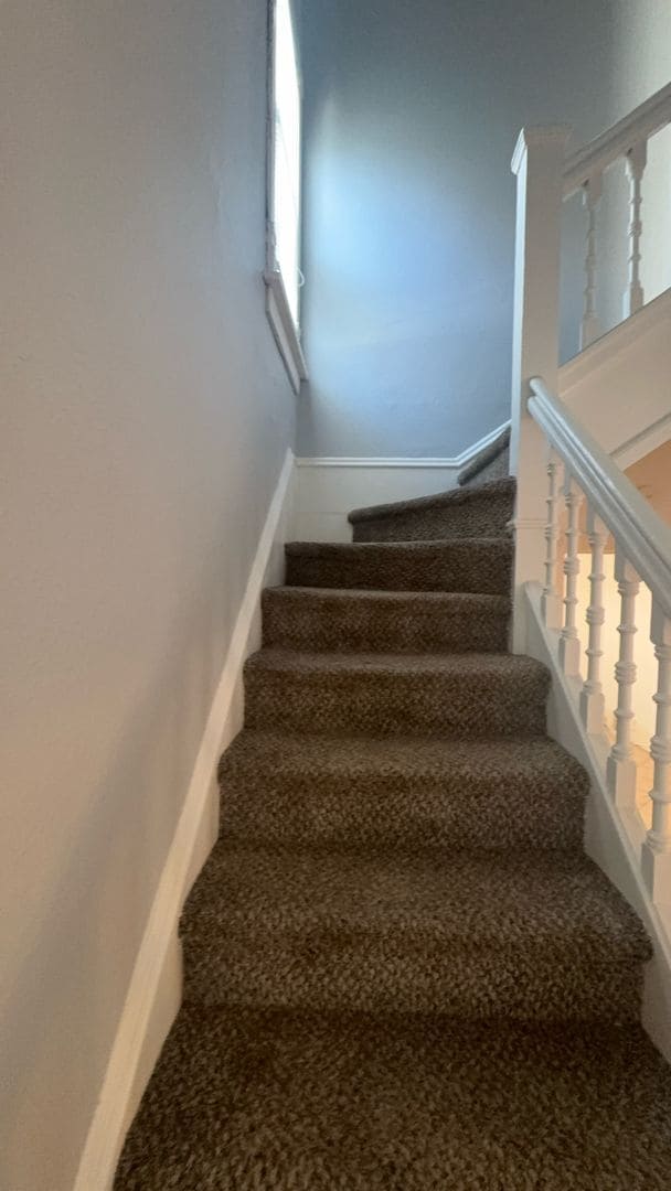 807 W McClure Ave in Peoria, IL - Building Photo - Building Photo