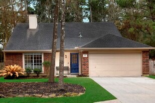67 W Trillium Cir in Spring, TX - Building Photo