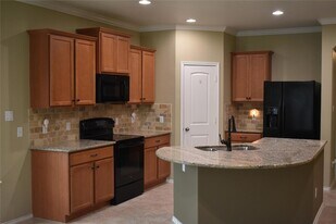 233 Eagle Owl Loop in Leander, TX - Building Photo