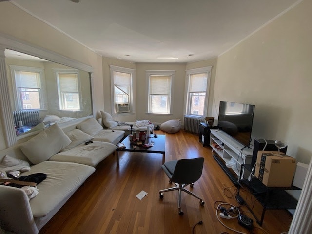 41 Orkney Rd, Unit 3