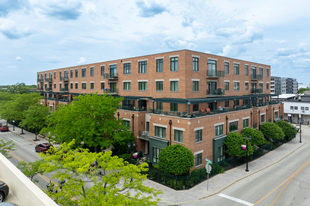 Museum Square in Elmhurst, IL - Foto de edificio