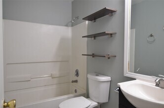 19321 Richland Springs Dr in Houston, TX - Building Photo - Building Photo