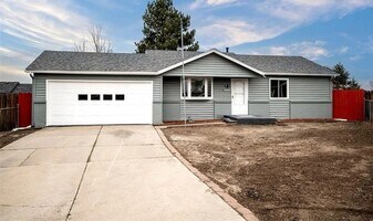 2020 Grosbear Ln in Colorado Springs, CO - Building Photo