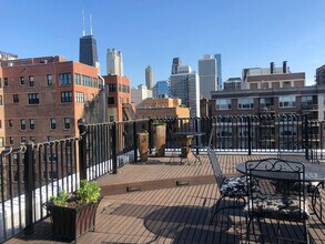 1339 N Dearborn St in Chicago, IL - Foto de edificio - Building Photo