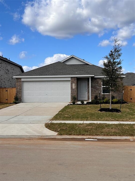 29026 Pearl Barley Wy in Hockley, TX - Building Photo