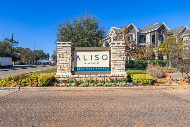 Aliso Briar Forest in Houston, TX - Building Photo - Building Photo