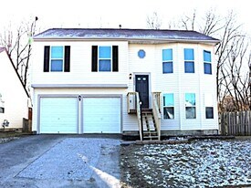 6699 Alex Dr in Canal Winchester, OH - Building Photo