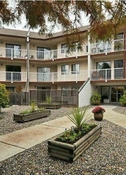 12890 17 Ave in White Rock, BC - Building Photo - Building Photo