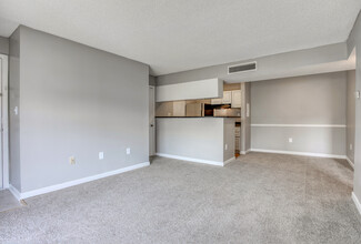 Tamarind Bay Apartments in St. Petersburg, FL - Foto de edificio - Interior Photo