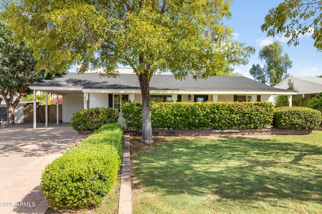 808 E Cavalier Dr in Phoenix, AZ - Building Photo - Building Photo