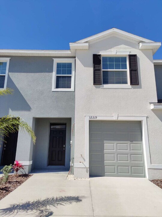 32219 Turtle Grace Lp in Wesley Chapel, FL - Building Photo