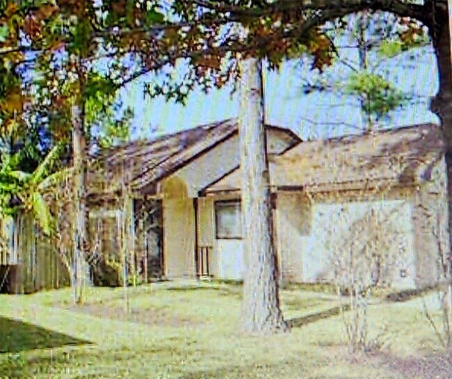10810 Parkland Woods Dr in Sugar Land, TX - Building Photo - Building Photo