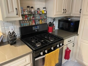 11303 Greenwillow Dr in Houston, TX - Building Photo - Building Photo