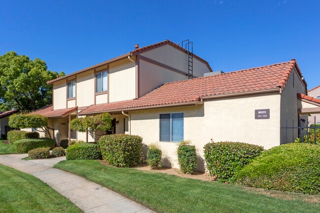 Terrace View Apartments