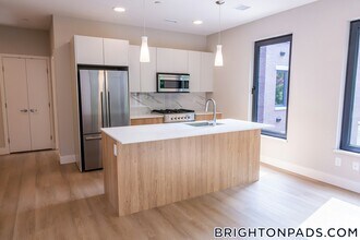 249 Corey Rd in Boston, MA - Building Photo - Building Photo