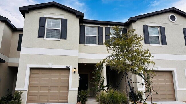 property at 36079 Risa Michele St