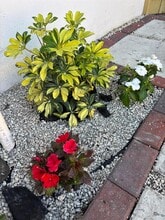 10405 SW 107th Terrace in Miami, FL - Building Photo - Building Photo