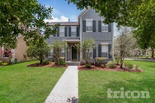 5212 Lemon Twist Ln in Windermere, FL - Building Photo