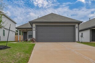 13625 Goldeye Dr in Shenandoah, TX - Building Photo