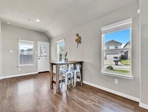 24551 Carlo Hue Trail in Katy, TX - Building Photo - Building Photo