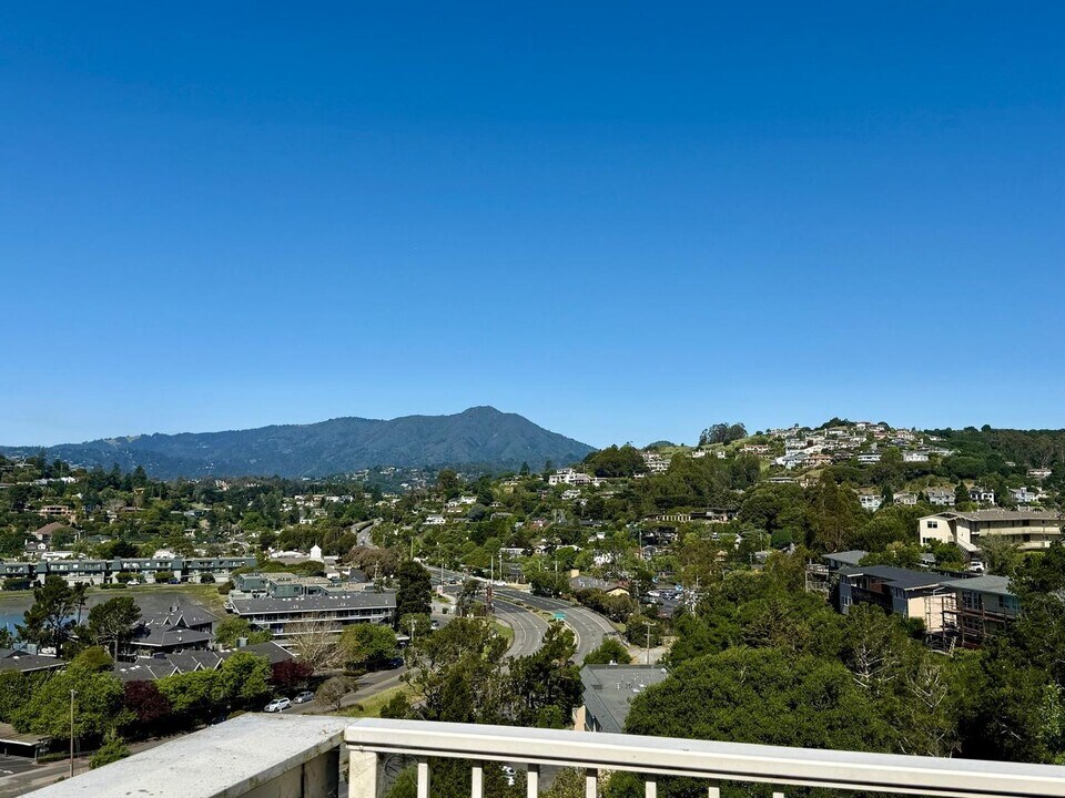 24 Andrew Dr in Tiburon, CA - Building Photo