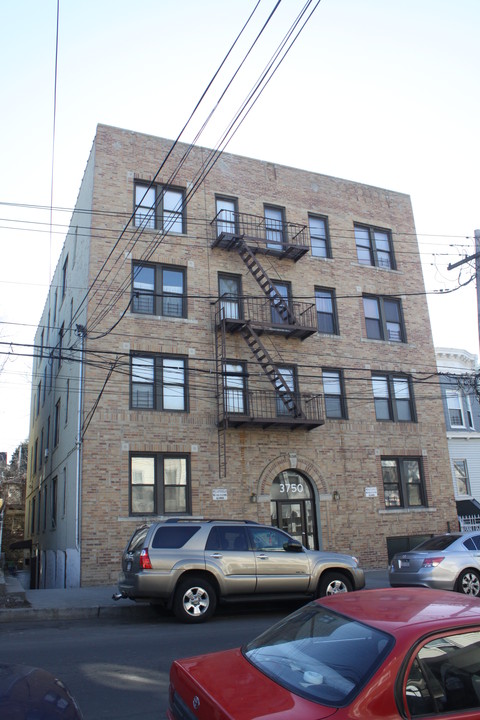 3750 Olinville Ave in Bronx, NY - Building Photo