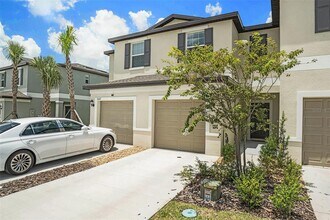 36171 Risa Michele St in Zephyrhills, FL - Building Photo - Building Photo