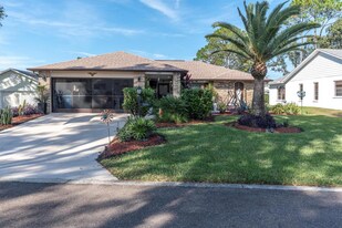 7099 Pond View Ct in Spring Hill, FL - Building Photo