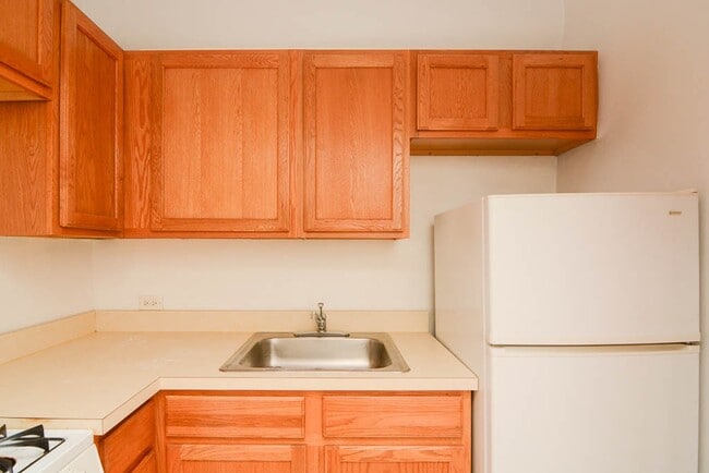 1169 N Dearborn St, Unit 504 in Chicago, IL - Building Photo - Building Photo