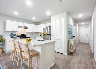 3 Seckel Ct in Palm Coast, FL - Building Photo - Building Photo