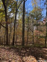 87 Buff Cap Rd in Tolland, CT - Building Photo - Building Photo