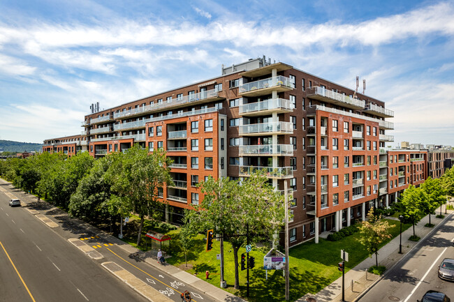 3200 E Rachel E in Montréal, QC - Building Photo - Building Photo