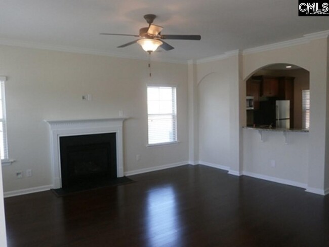 297 Massey Cir in Chapin, SC - Building Photo - Building Photo