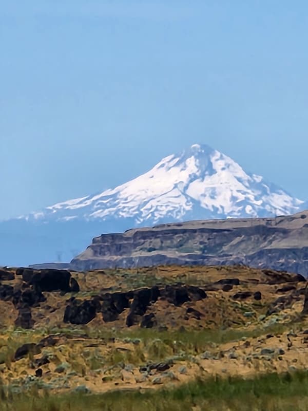 710 Catskill St in Richland, WA - Foto de edificio - Building Photo