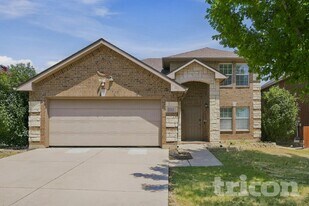 3908 Big Leaf Ln in Fort Worth, TX - Building Photo