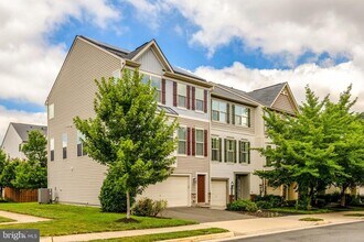 22179 Breitling Terrace in Ashburn, VA - Building Photo - Building Photo