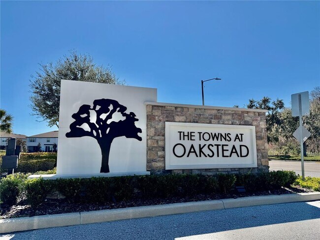 19672 Shady Oak Dr in Land O Lakes, FL - Building Photo - Building Photo